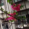 阳光马的头像
