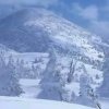 冰山雪莲的头像
