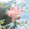 江九九的头像