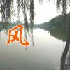 风的头像