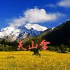 ☆天*山*雪☆的头像