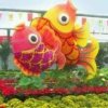 无忧花开的头像
