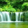 东东（）的头像