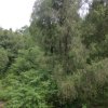 〃碎片、拉扯着曾经的回忆的头像