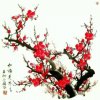 一枝梅的头像