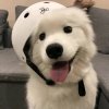 YO2U的头像