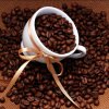 咖啡（最近有忙）的头像