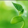 细雨的头像