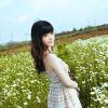 Glass heart 的头像