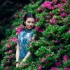 腊梅的头像