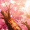 芬的头像