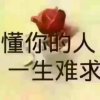 思念的头像