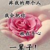 海棠依旧的头像
