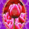 爱乐 玲姐༄东࿆ྂ哥ོ࿆༘48࿐的头像