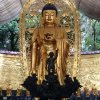 幸福的头像