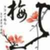 梦天飞侠的头像