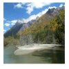 高山流水的头像