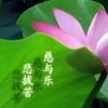 陈颍的头像