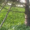 上善若水的头像