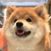 魔鬼中的天使的头像