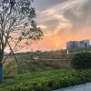 为你守候的头像