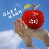 *玲姐*的头像