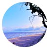 玲《雨菲》的头像