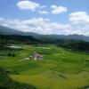 媛媛的头像