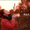 雲儿的头像