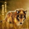 陌路的头像