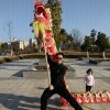 英雄无泪的头像