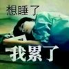 爱的玫瑰的头像