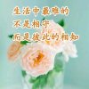 思念的头像