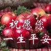 一生有你的头像