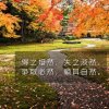 勿忘我!勿怪我的头像
