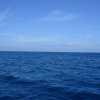 挑海天守护(暂退)休息中的头像