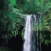 高山流水的头像