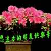 春风的头像