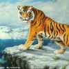 猛虎的头像