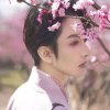 相思赋的头像