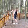 利姐的头像