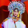 Yingzi栗贵荣的头像