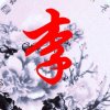 随遇而安。的头像
