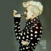 浪子无归的头像