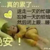 繁花落尽的头像