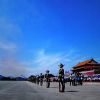 白桦林的头像