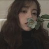 冰清的头像