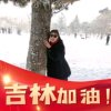 傲雪寒梅的头像