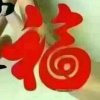 晓云的头像