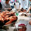 窗前的光忙的头像